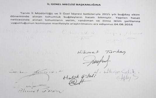 hayat