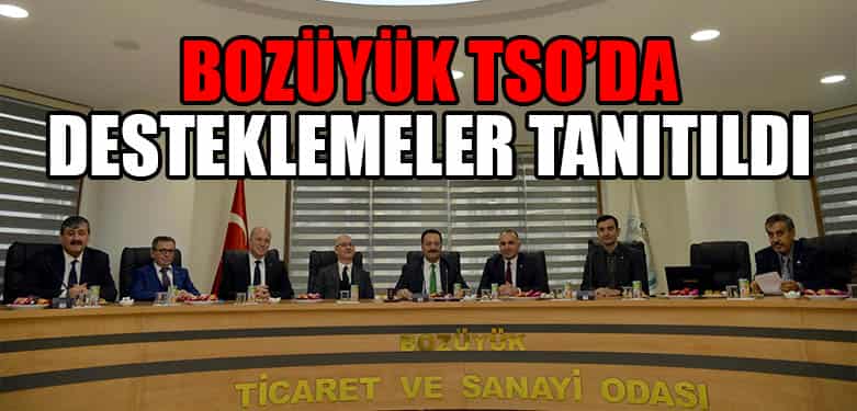 BOZÜYÜK TSO