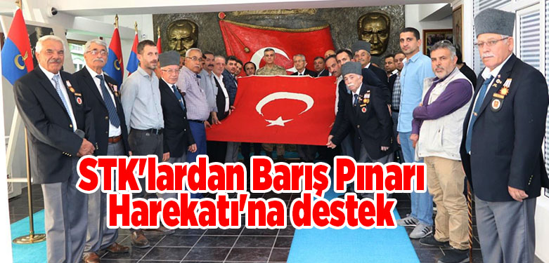 STK'lardan Barış Pınarı Harekatı'na destek