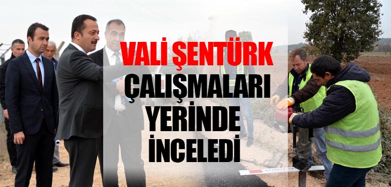 VALİ ŞENTÜRK