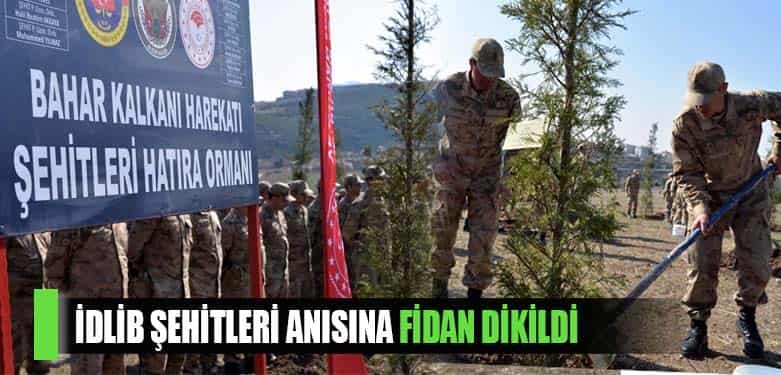 AĞAÇ