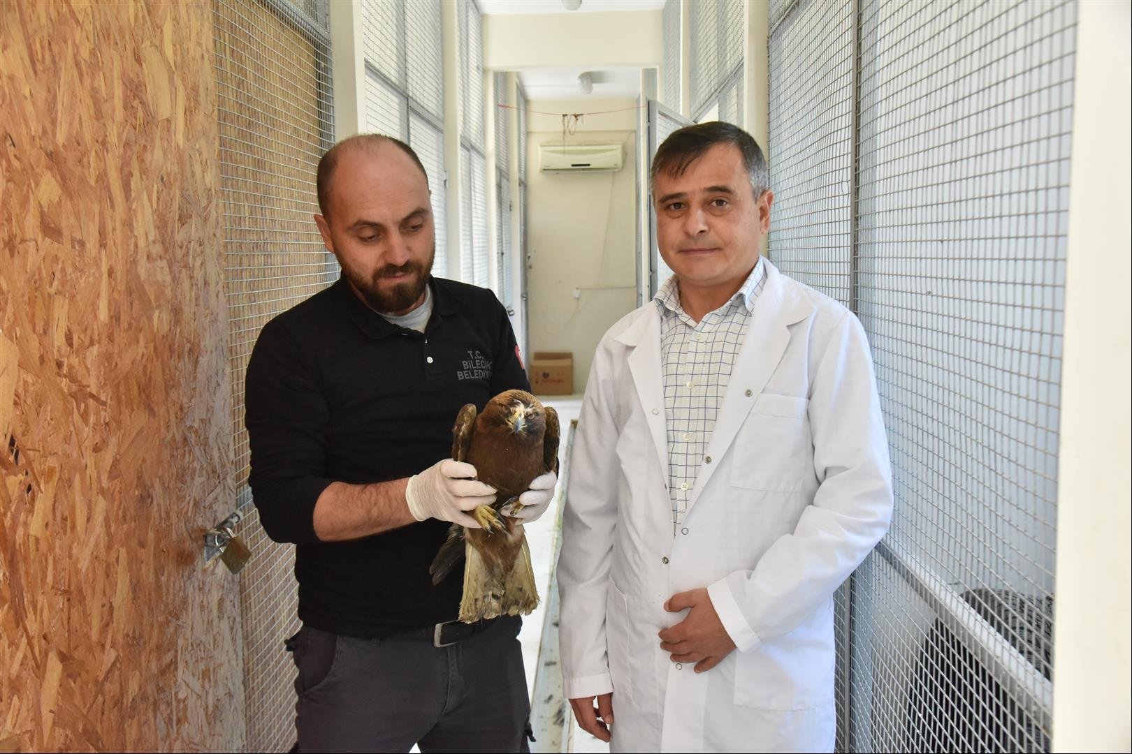 YARALI ŞAHİN ÖZGÜRLÜĞE KANAT AÇTI (1)