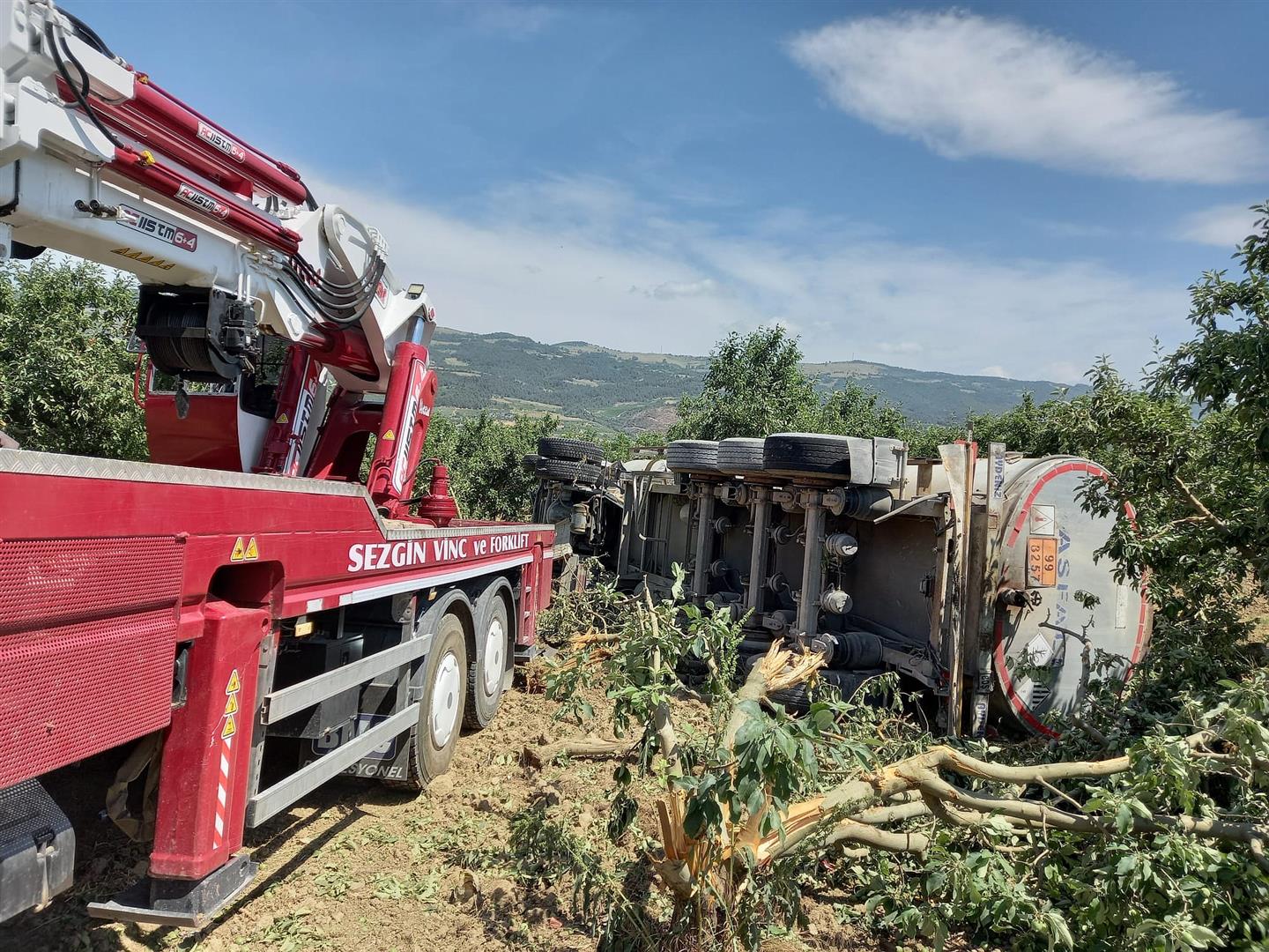 YOLDAN ÇIKAN TIR MEYVE BAHÇESİNE DEVRİLDİ11