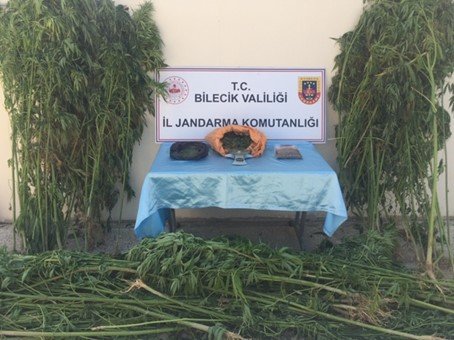 JANDARMADAN ESRAR VE KENEVİR BASKINI-1