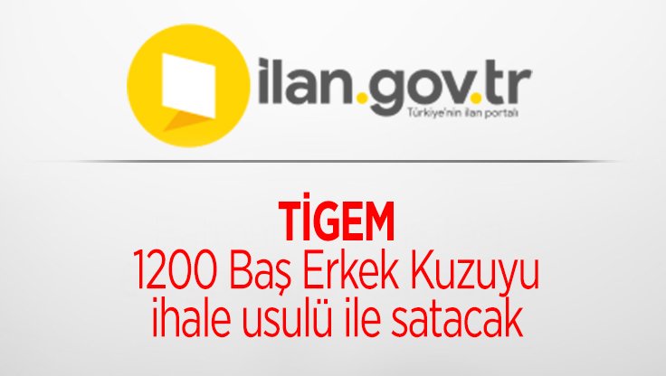 TİGEM 1