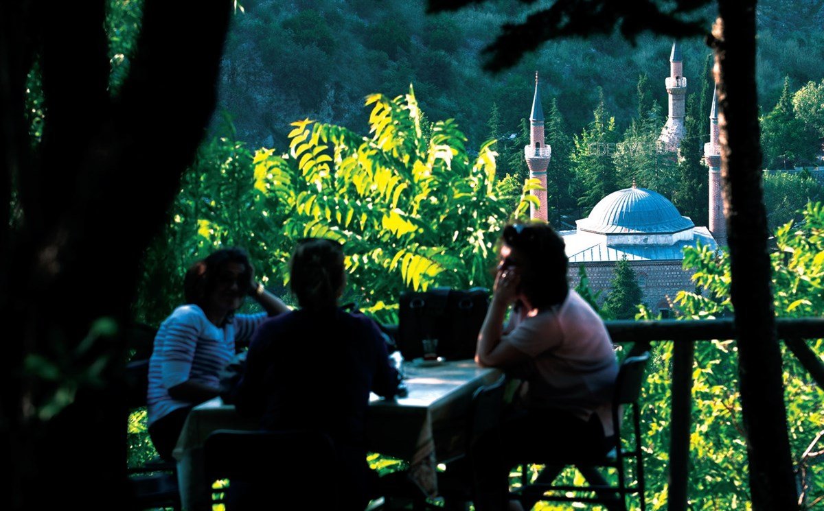 bilecik-haber_bilecik-kent-ormani-ziyaretcilerini-bekliyor-320.jpg