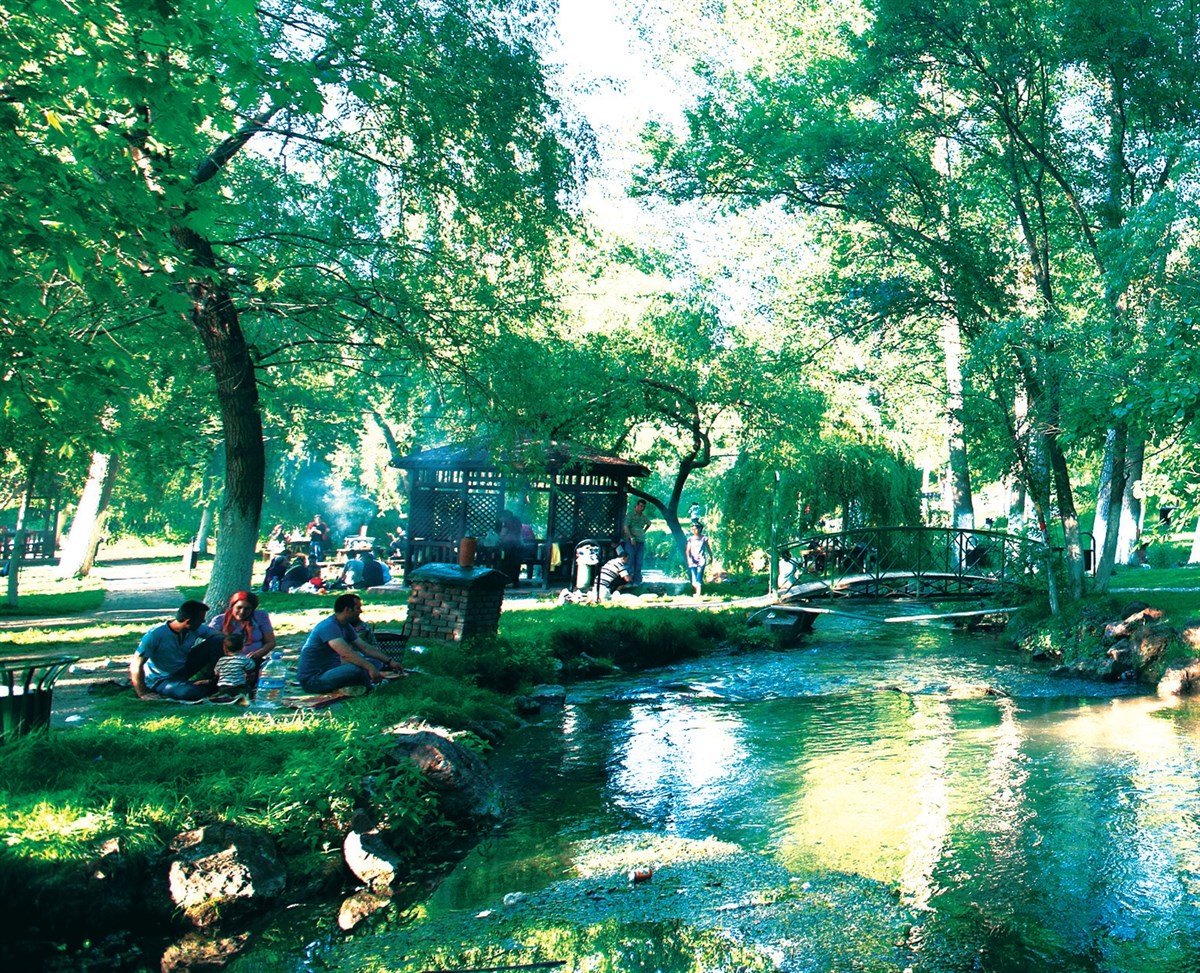 bilecik-haber_turbin-mesire-alani-sicak-havalarda-ziyaretcilerini-bekliyor-275.jpg