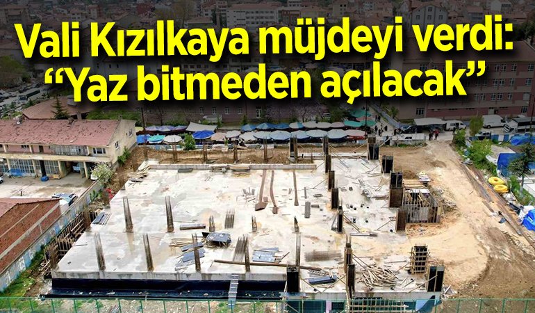 VALİ