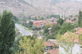 bilecik-haber_kuplu-de-tayyip-erdogan-1oldu-12903.jpg