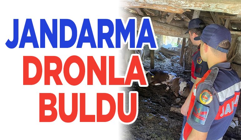 JANDARMA DRONLA BULDU