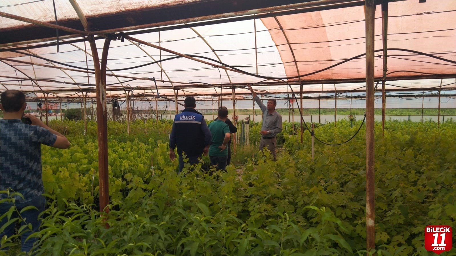bilecik-haber_fidan-fide-uretimi-satisi-kontrol-ve-denetimi-yapildi-24033.jpg