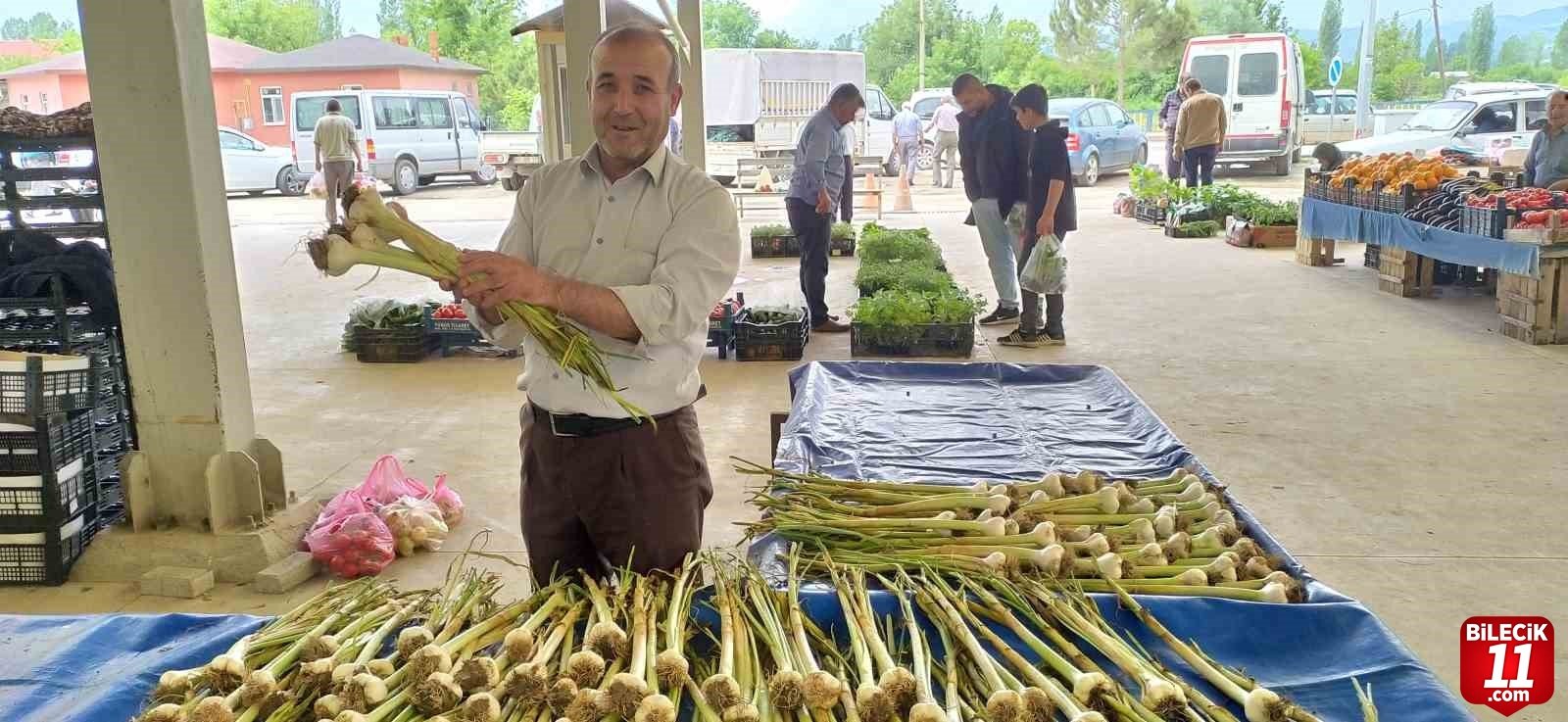 bilecik-haber_hisarcik-ta-yerli-sarimsak-cikti-fiyatlar-dustu-23247.jpg