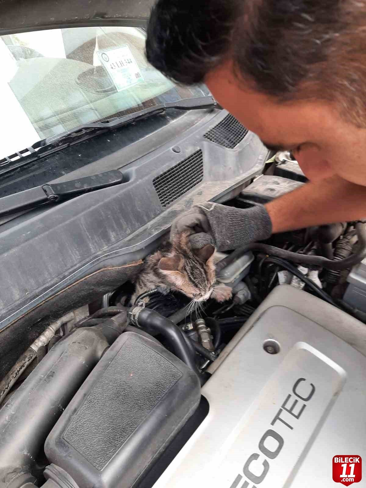 bilecik-haber_otomobilin-motoruna-sikisan-yavru-kedi-kurtarildi-21521.jpg