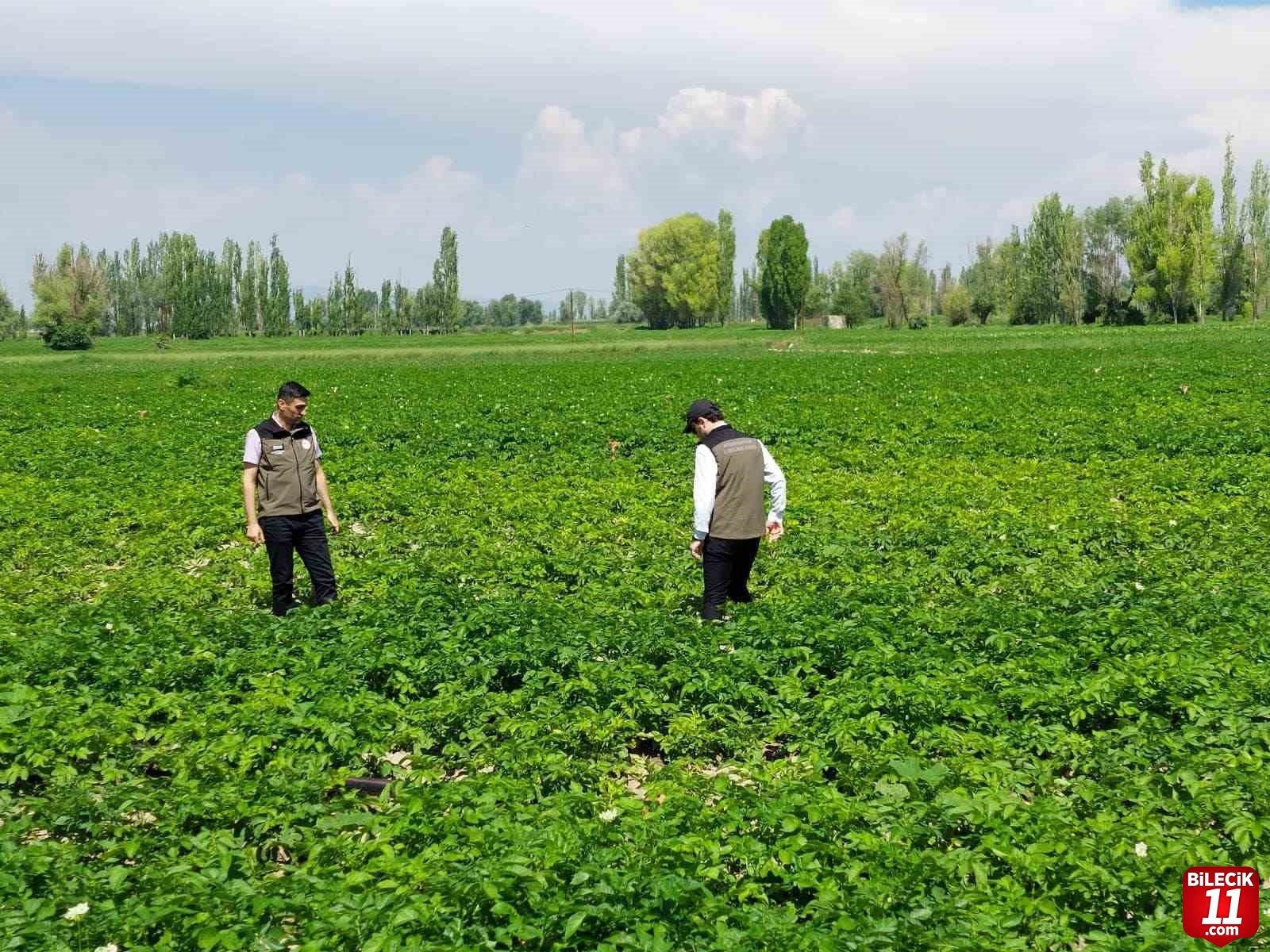 bilecik-haber_patates-ureticilerine-bitki-hastaliklarina-karsi-uyari-22640.jpg