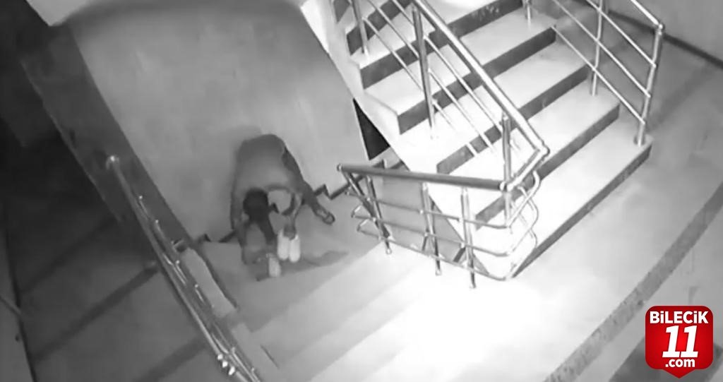 bilecik-haber_secerek-caldigi-ayakkabiyi-hirkasina-sararak-apartmandan-cikartti-21198.jpg