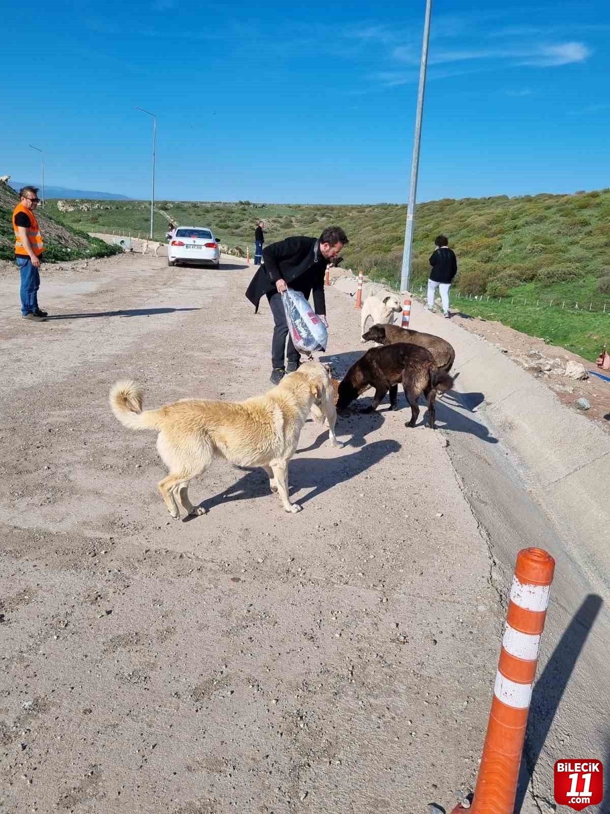 bilecik-haber_sokak-hayvanlari-icin-sosyal-sorumluluk-projesi-25315.jpg
