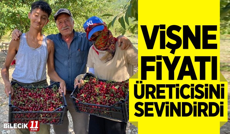 VİŞNE