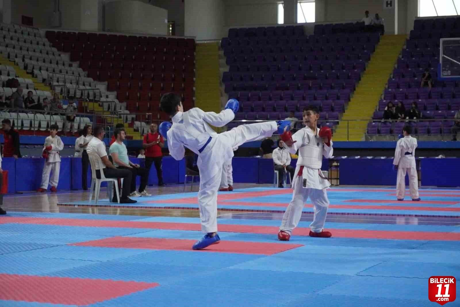 bilecik-haber_anadolu-yildizlar-ligi-nde-karate-yari-final-musabakalari-sona-erdi-29983.jpg