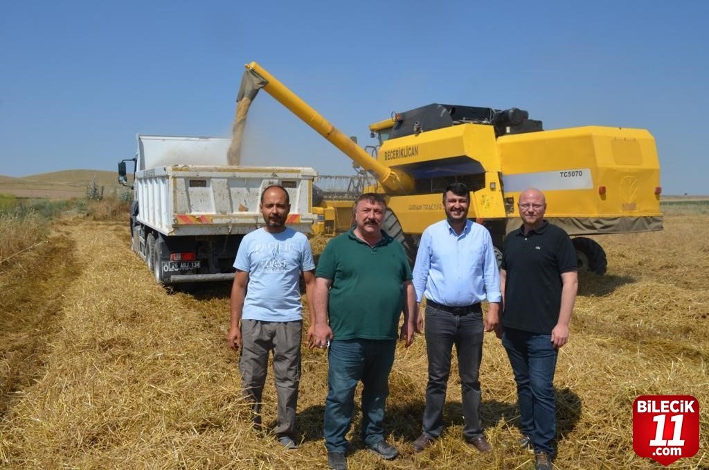 bilecik-haber_beylikova-da-hububat-hasadi-basladi-27917.jpg