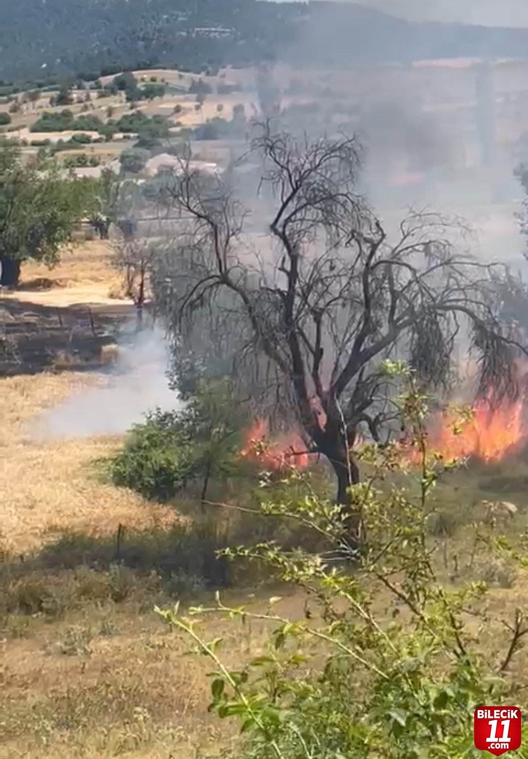 bilecik-haber_kutahya-da-bugday-ekili-tarlada-yangin-32252.jpg