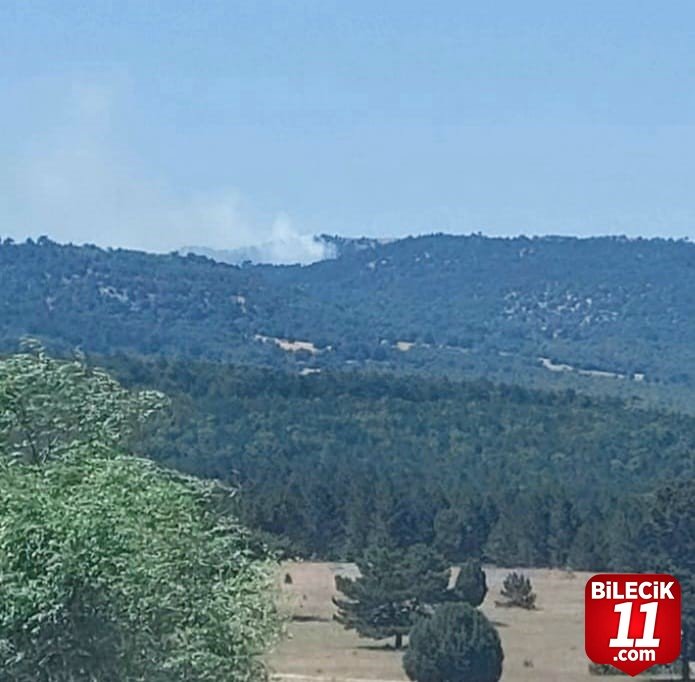 bilecik-haber_kutahya-da-orman-yangini-33162.jpg
