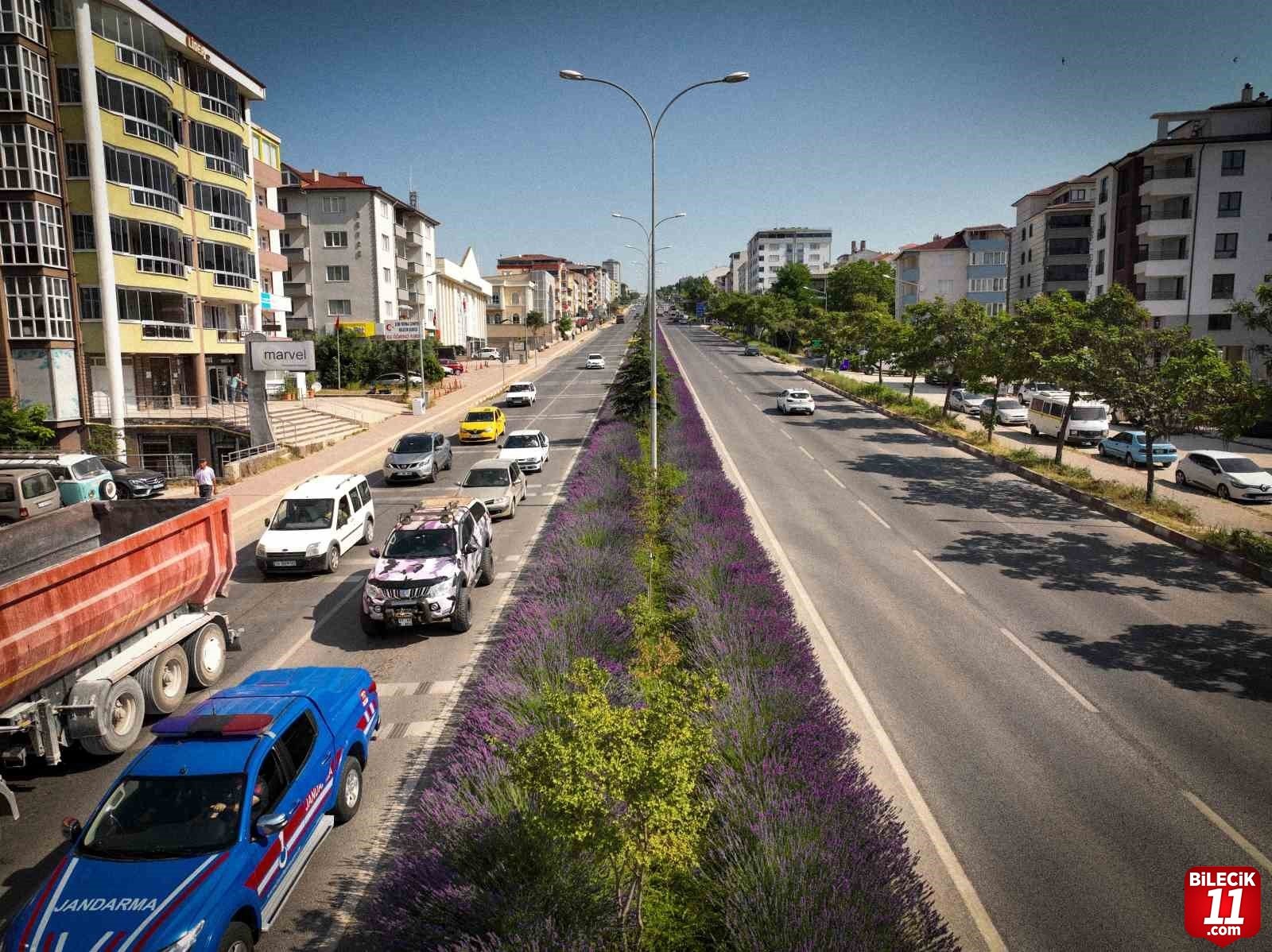 bilecik-haber_orta-refujde-acan-lavantalar-adeta-goz-kamastiriyor-29555.jpg