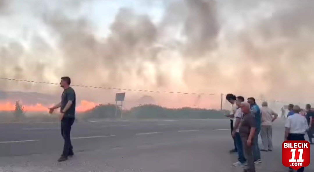 bilecik-haber_simav-da-arazi-yangini-32277.jpg