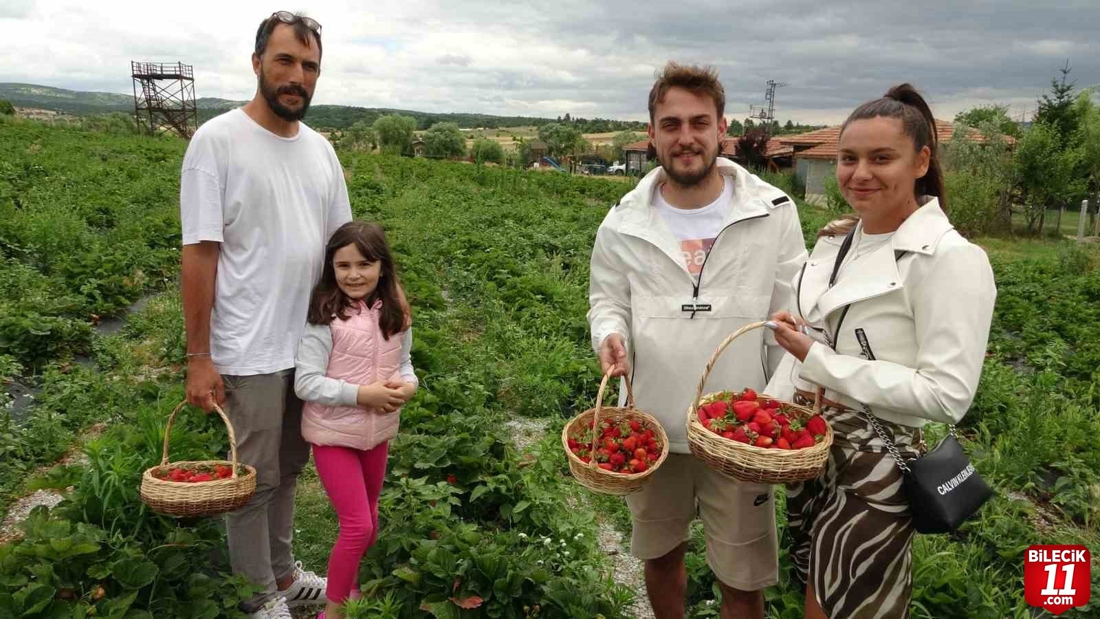 bilecik-haber_tarladan-cilek-toplayip-satin-aliyorlar-29548.jpg