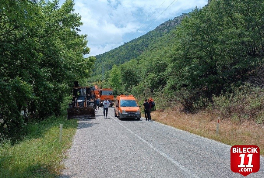 bilecik-haber_yagmur-sonrasi-dusen-dev-kaya-parcalari-yolu-kapatti-29505.jpg
