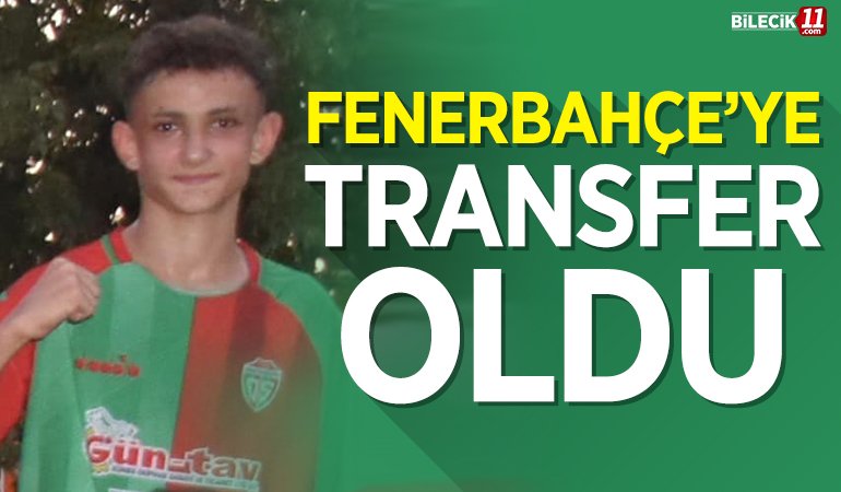 FENER