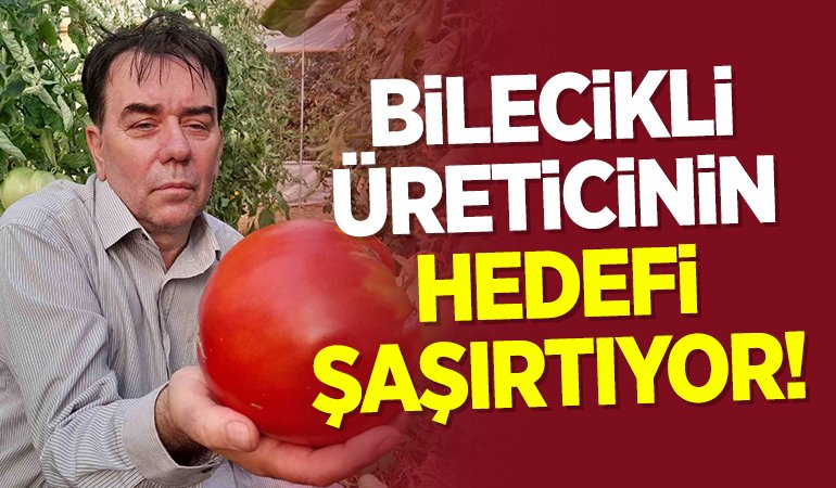 HEDEF