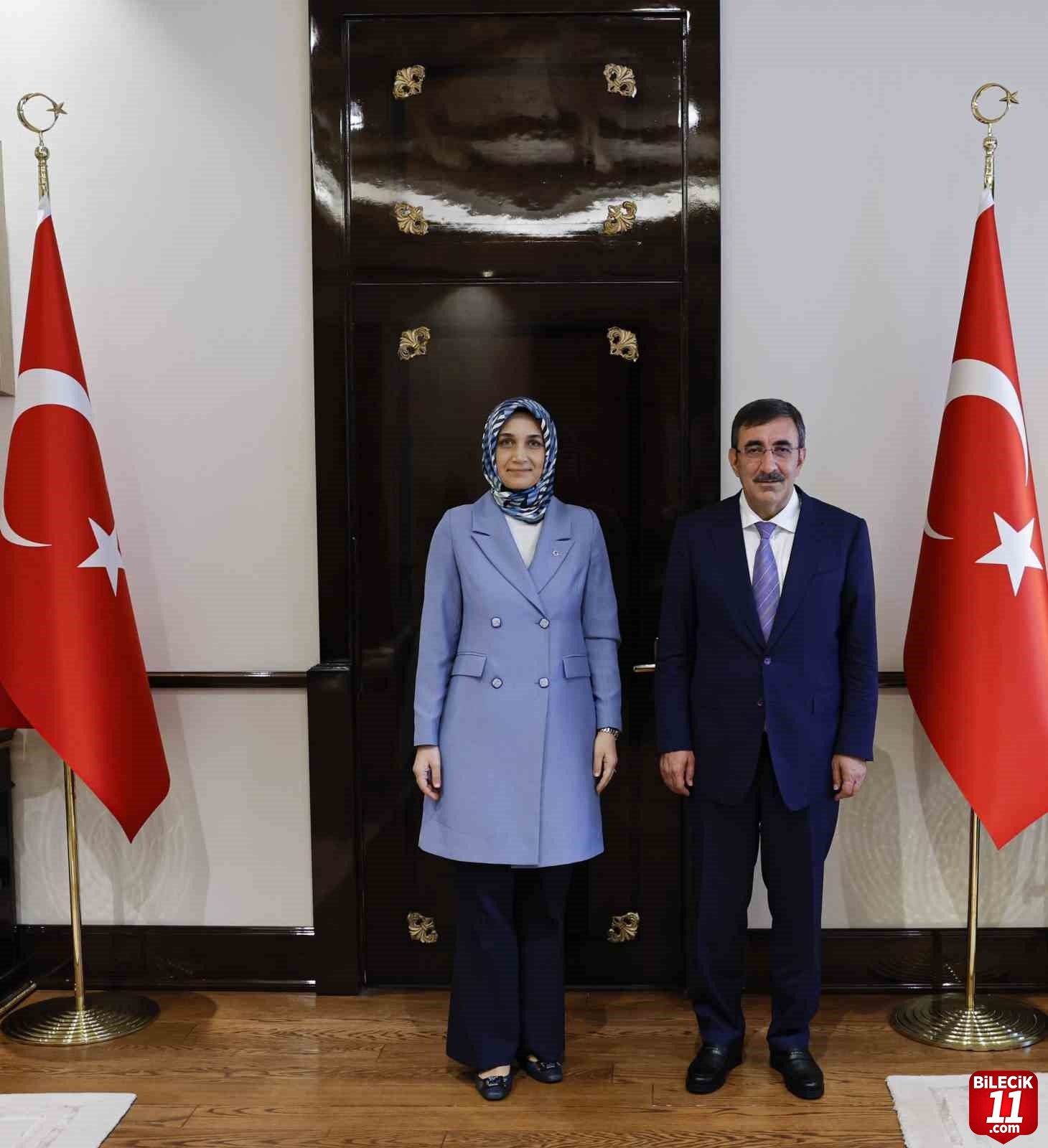 bilecik-haber_vali-yigitbasi-cumhurbaskani-yardimcisi-ile-gorustu-39796.jpg