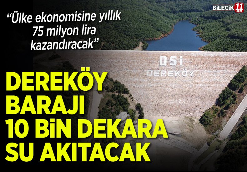 DSİ