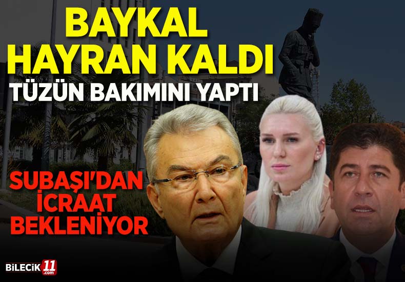 bakım