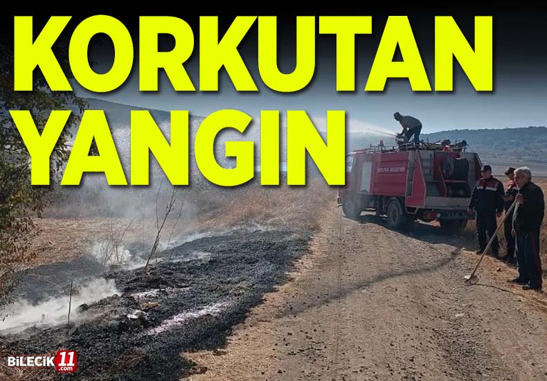 yangın