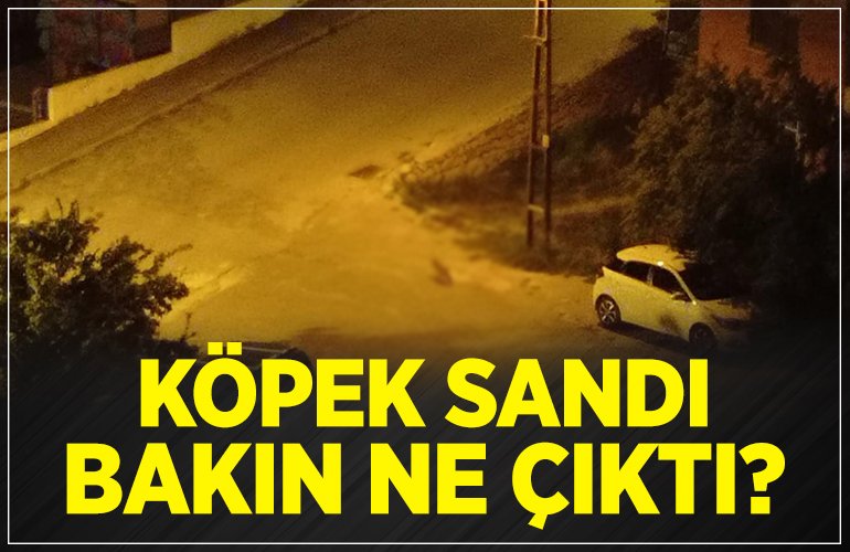 KOPEK