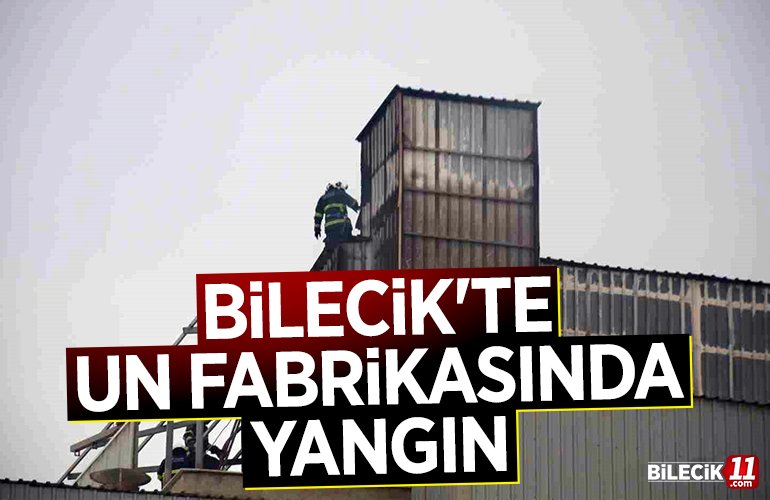 yangın