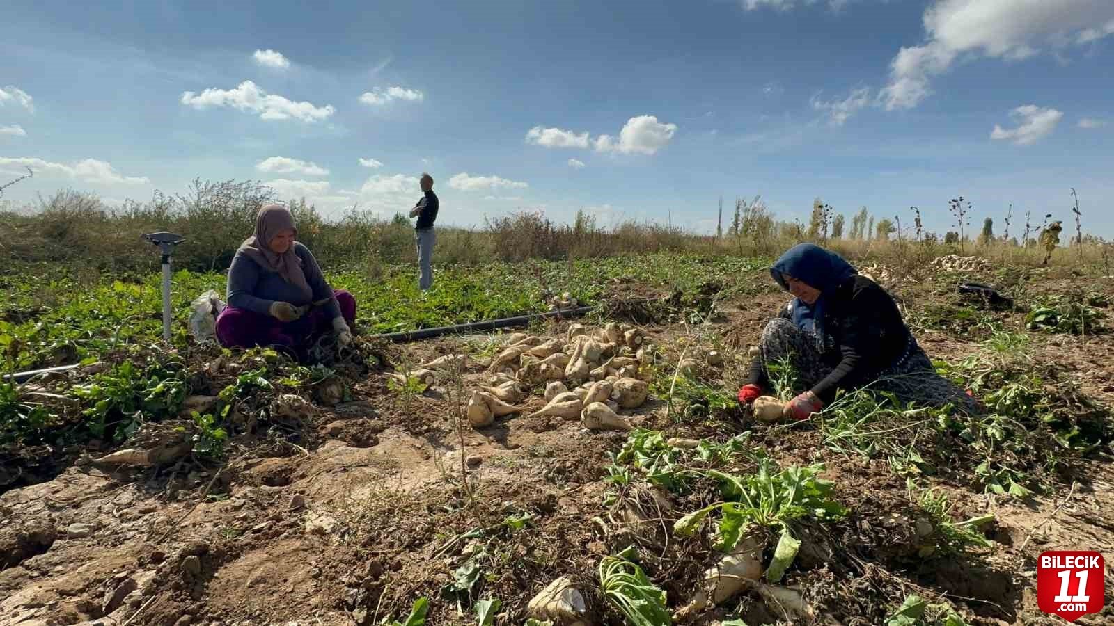bilecik-haber_afyonkarahisar-da-pancar-sokum-sezonu-suruyor-66128.jpg
