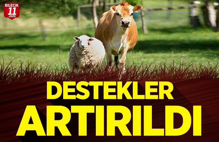 destekler