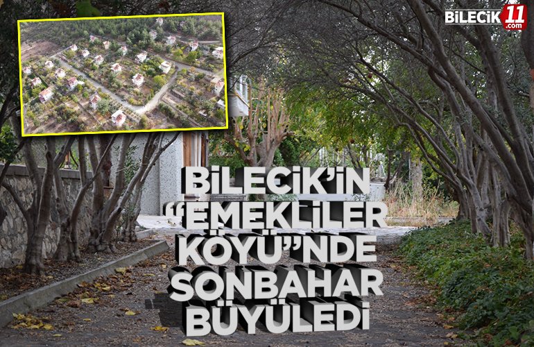 emeklılerkoyu
