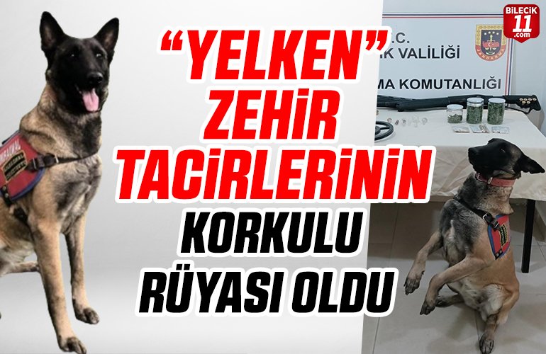 YELKEN