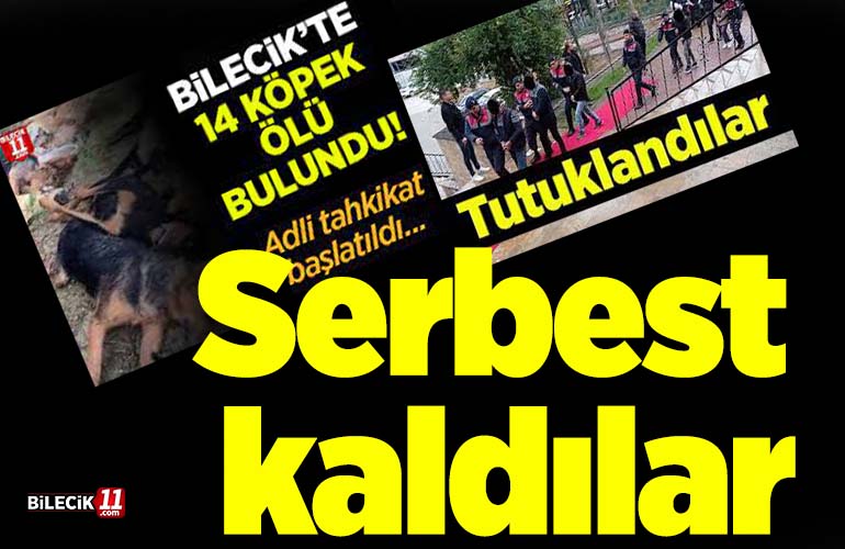 tıs