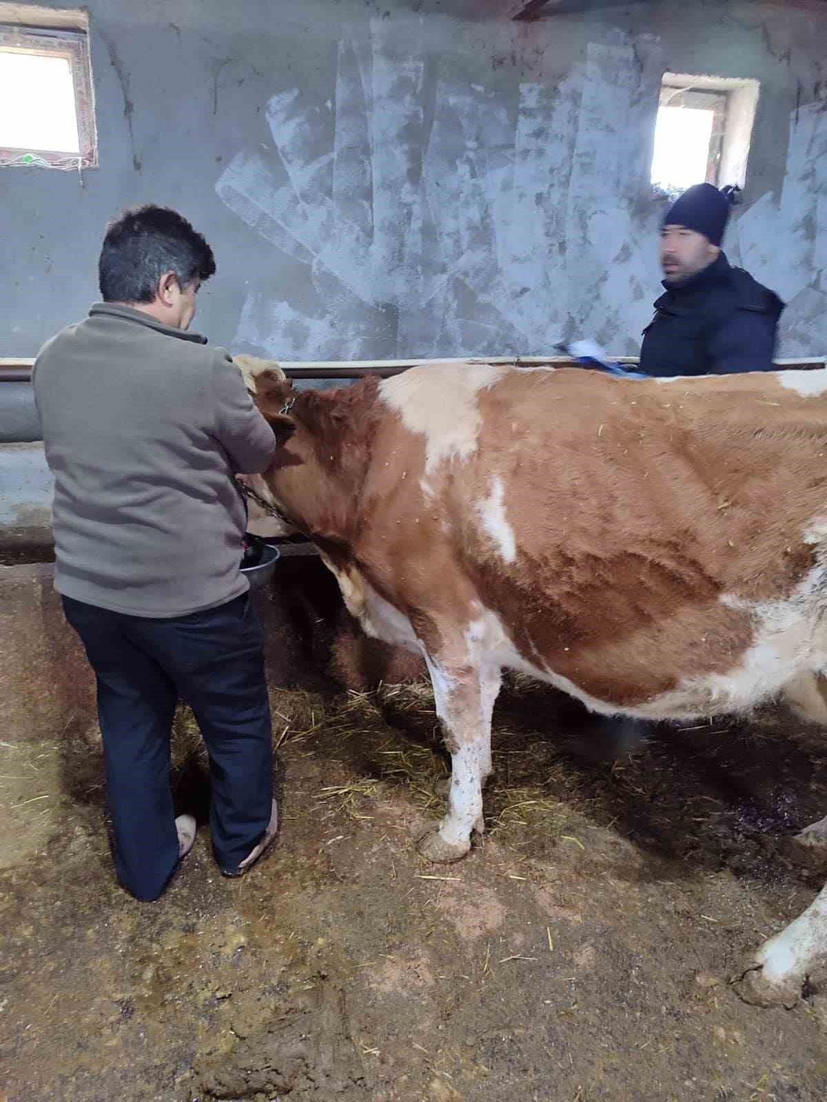 bilecik-haber_afyonkarahisar-da-sap-asilamasi-devam-ediyor-94652.jpg
