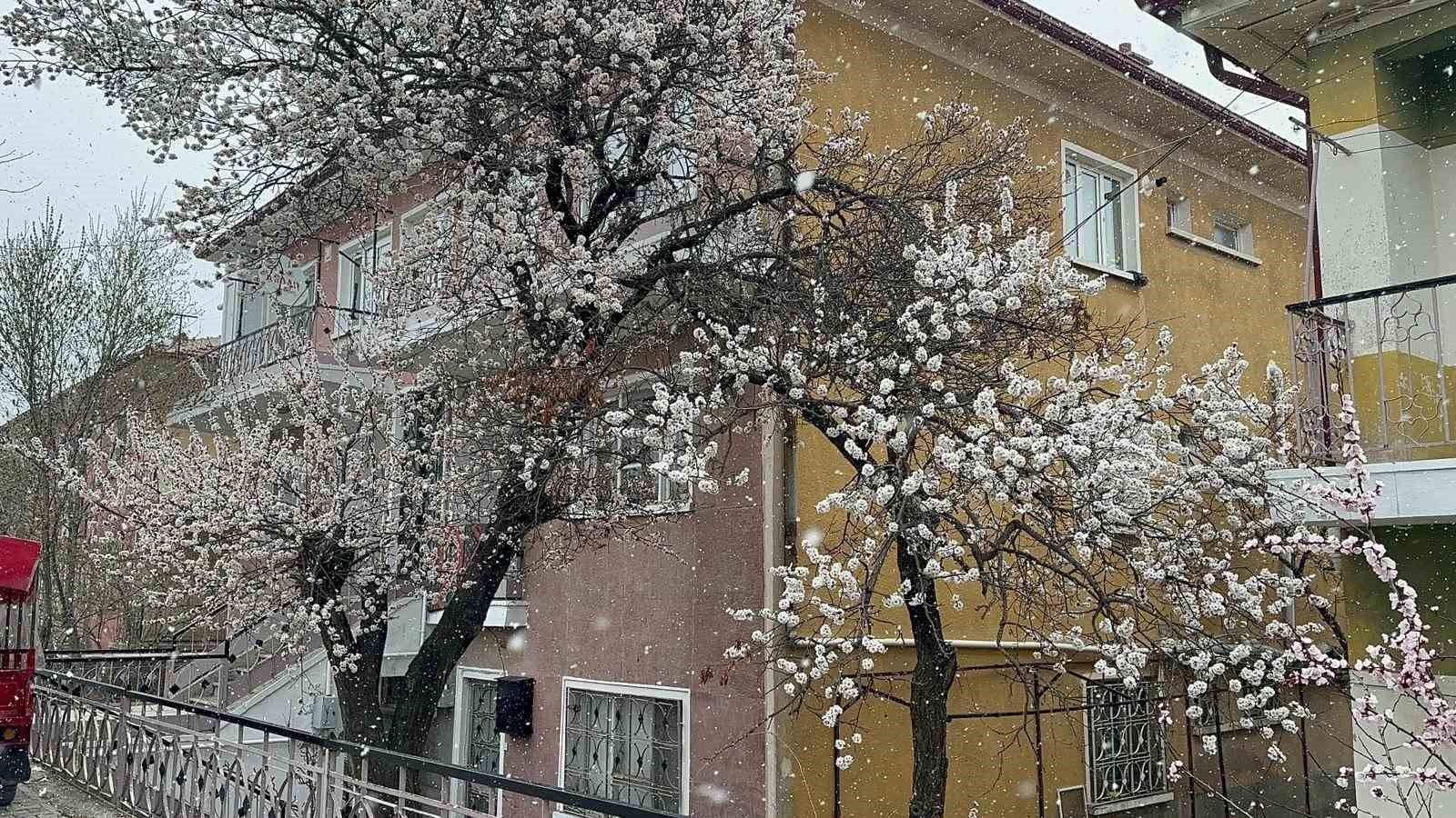 bilecik-haber_bolvadin-de-kar-yagisi-etkili-oldu-102759.jpg