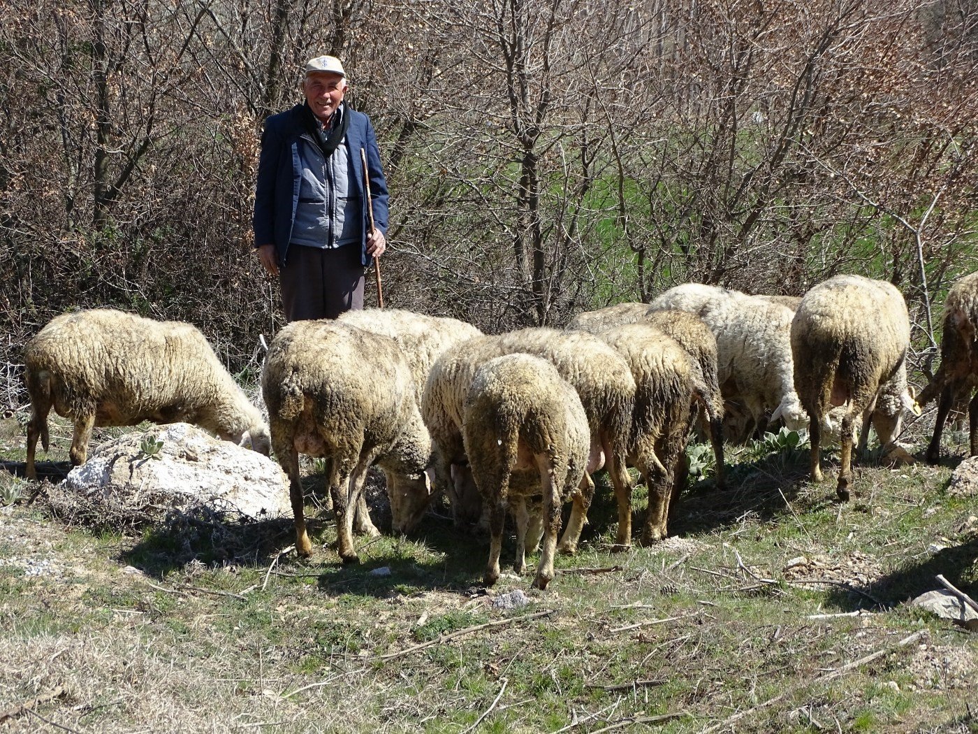 bilecik-haber_kutahya-da-4-bin-408-ureticiye-26-milyon-680-bin-880-tl-hayvancilik-desteklemesi-100724.jpg