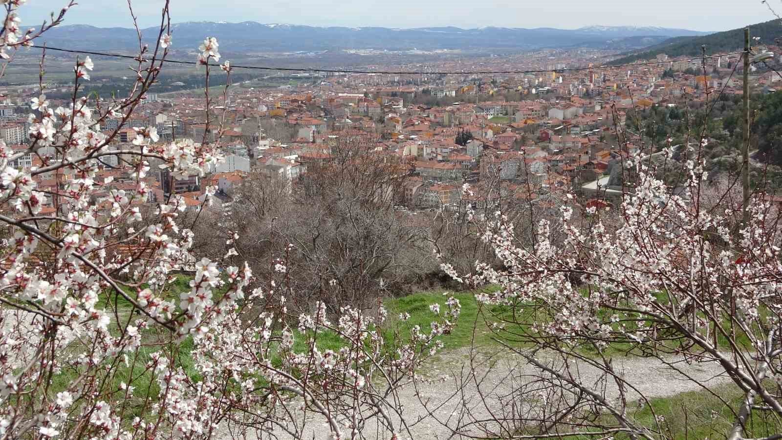 bilecik-haber_kutahya-da-badem-agaclarinin-cicek-acmasi-guzel-goruntuler-olusturdu-103943.jpg