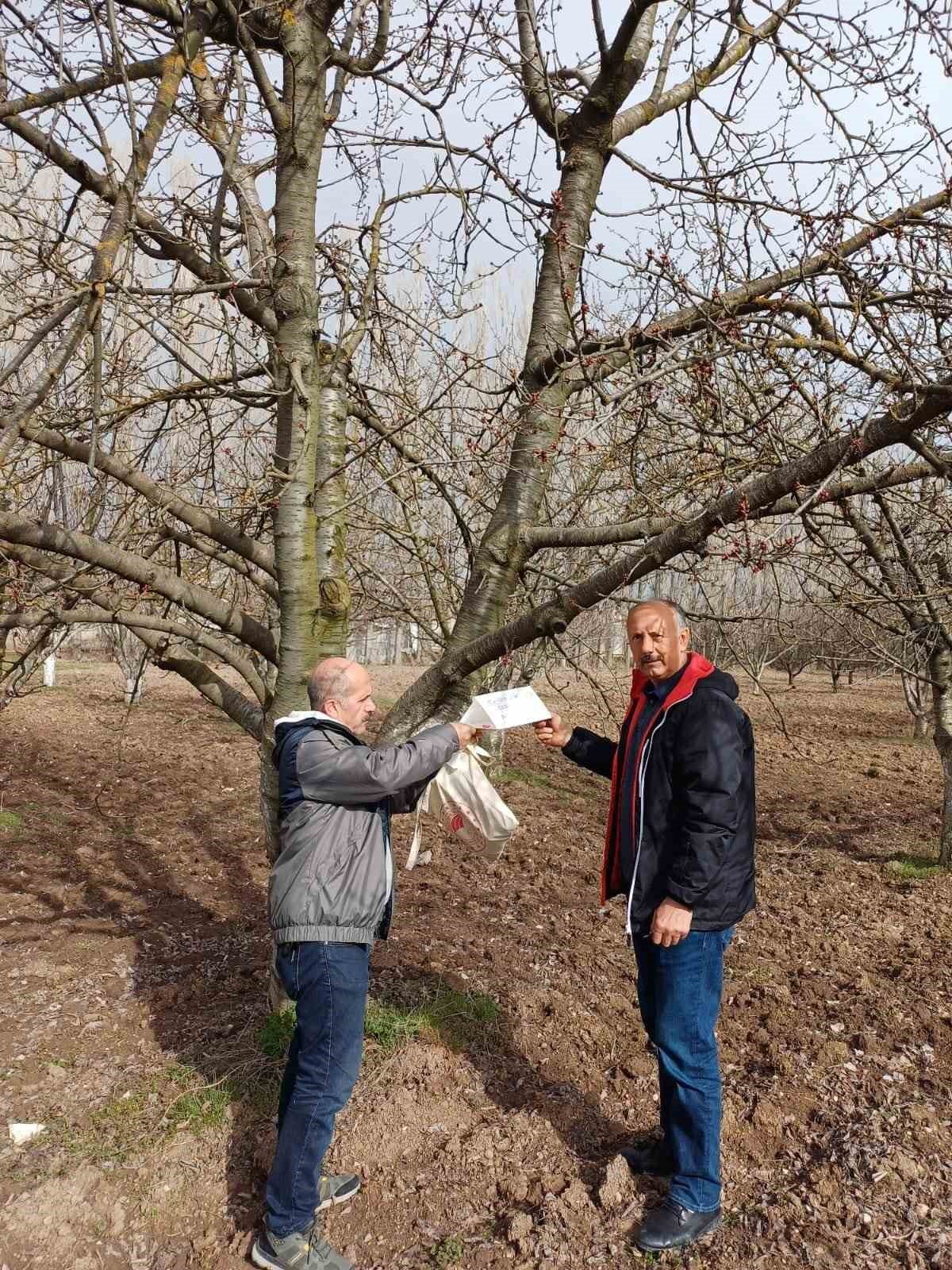 bilecik-haber_mihaliccik-in-unlu-kiraz-agaclari-koruma-altinda-104278.jpg