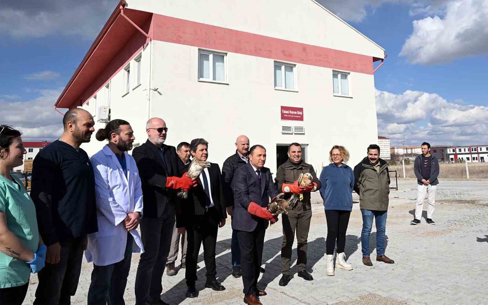 bilecik-haber_tedavisi-tamamlanan-yirtici-kuslar-dogaya-salindi-98241.jpg
