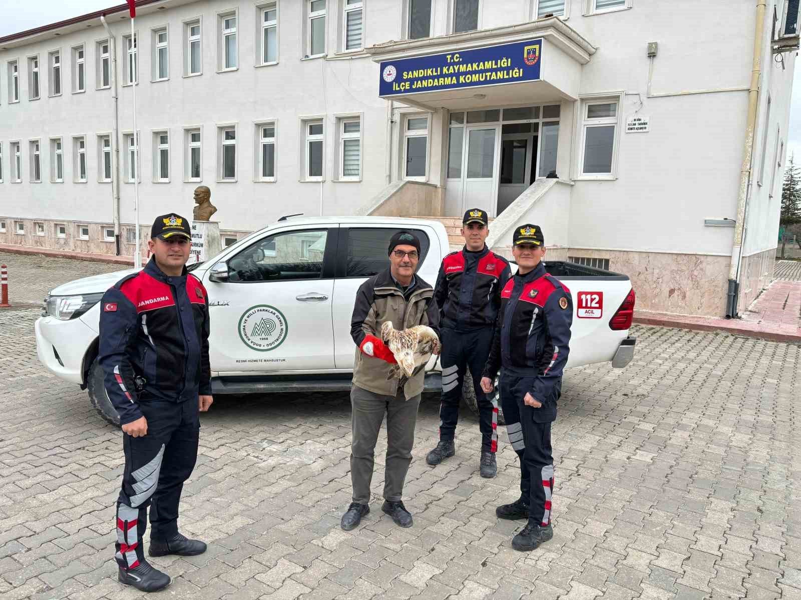bilecik-haber_yarali-kizil-sahini-jandarma-ekipleri-buldu-103946.jpg