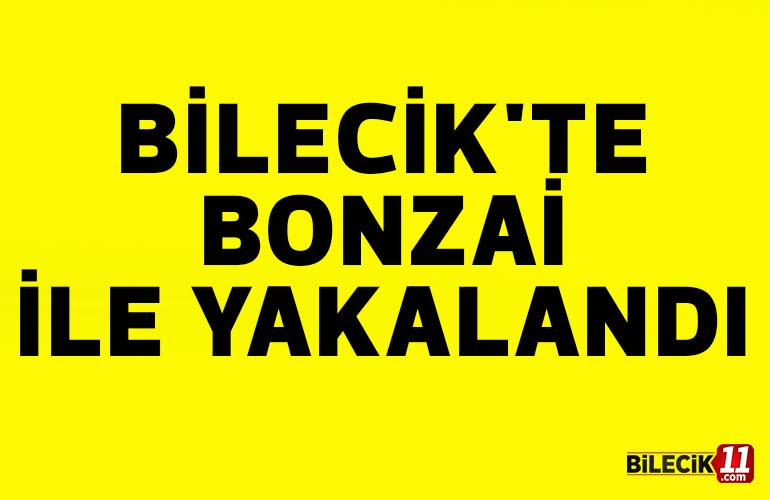 bonzaiiiiiiiiiiiiiiiiii